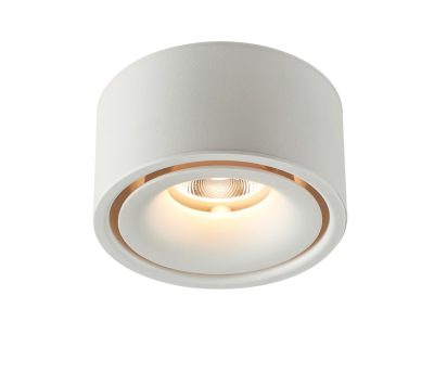 Spot LED cu montare pe suprafață 10W Alb 4000K BRIDGELUX-CHIP