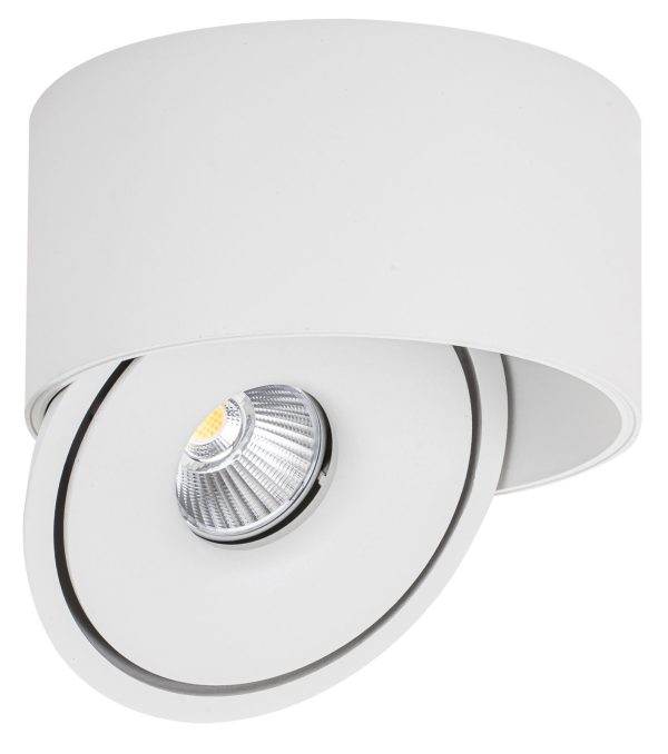 Downlight LED COB 20W ROTUND ROTATIV ALB – BRIDGELUX
