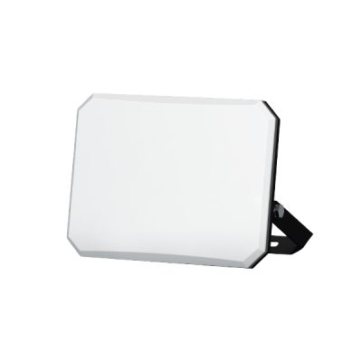PROIECTOR Led MILKY-LENS IP65 50W ALB NEUTRU